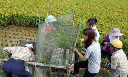 一日農夫體驗與生態導覽/food agricultuer education/食農教育