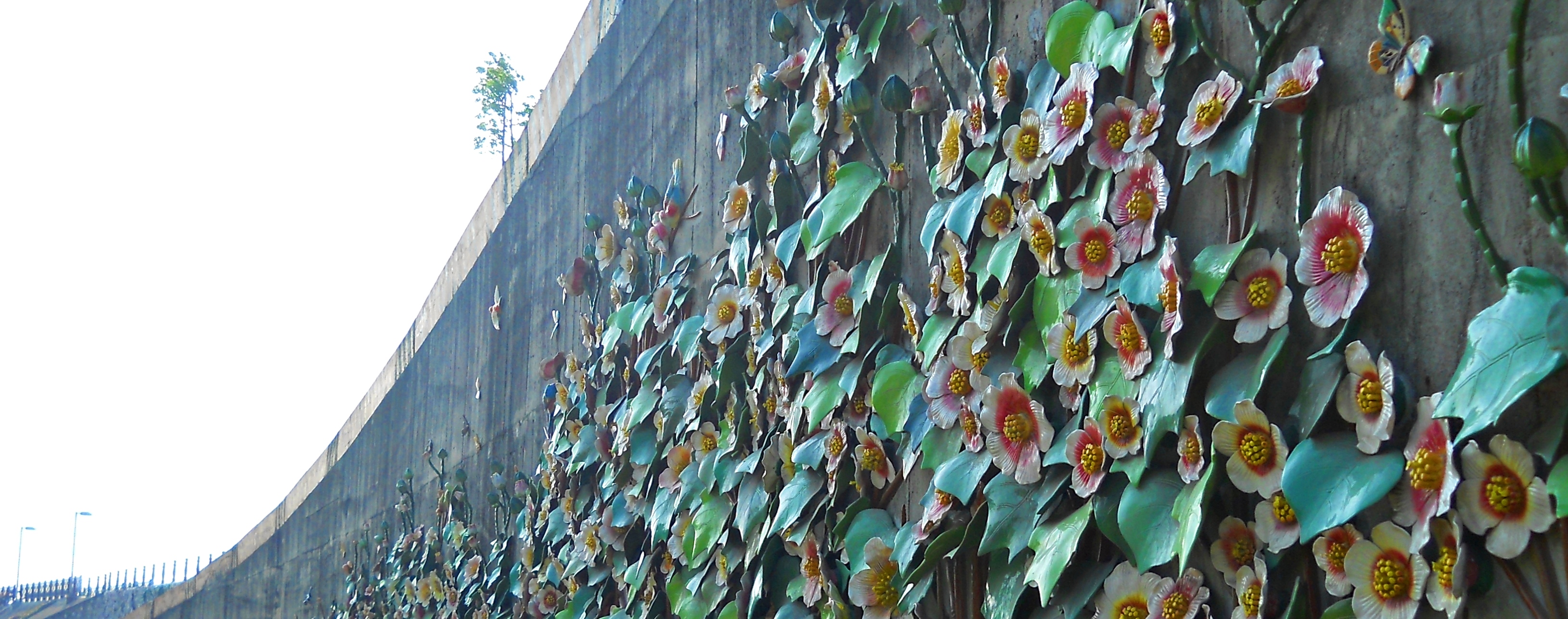 山芙蓉